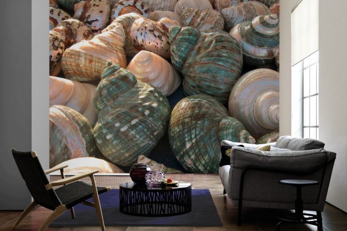 Im Wohnzimmer die Fototapete Schneckenhäuser im Sonnenschein auf einer großen Wand tapeziert. Die Fototapete Schneckenhäuser im Sonnenschein ist als Vlies-Fototapete im Wohnzimmer leicht zu tapezieren.