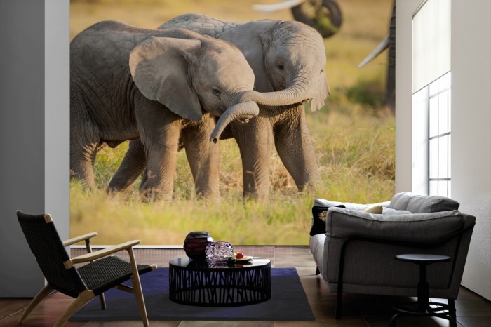 Im Wohnzimmer die Fototapete Elefanten Babys in Kenia auf einer großen Wand tapeziert. Die Fototapete Elefanten Babys in Kenia ist als Vlies-Fototapete im Wohnzimmer leicht zu tapezieren.