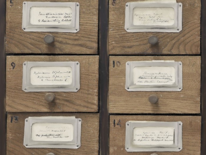 Detailansicht der Selected Walls Tapete Detroit Pharmacist Cabinet Wallpaper Col. 01