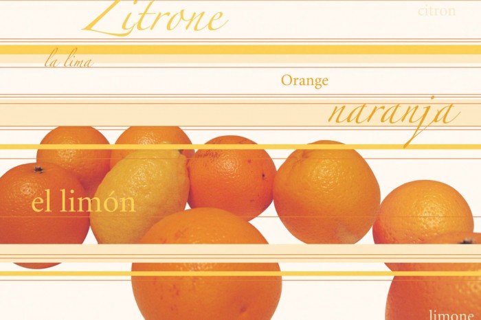 Die Design-Fototapete Zitronen und Orangen, Artwork, eine Vlies-Fototapete bei Livingwalls Cologne online kaufen. Die Design-Fototapete Zitronen und Orangen, Artwork ist eine Fototapete auf Maß.