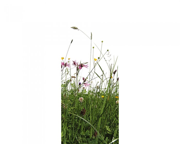 Du möchtest das 3D Fotopanel Grüne Blumenwiese online bestellen, aber du benötigst andere Abmessungen? Kontaktiere uns einfach!