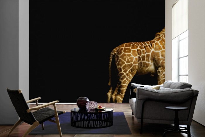 Im Wohnzimmer die Fototapete Giraffe, Fotografie by Mark Laita auf einer großen Wand tapeziert. Die Fototapete Giraffe, Fotografie by Mark Laita ist als Vlies-Fototapete im Wohnzimmer leicht zu tapezieren.