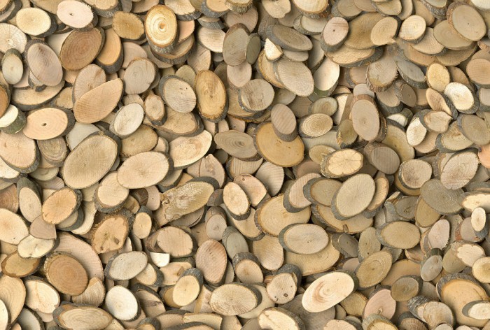 Die Fototapete Holzscheiben von Ästen, eine Vlies-Fototapete bei Livingwalls Cologne online kaufen. Die Fototapete Holzscheiben von Ästen ist eine Fototapete auf Maß.