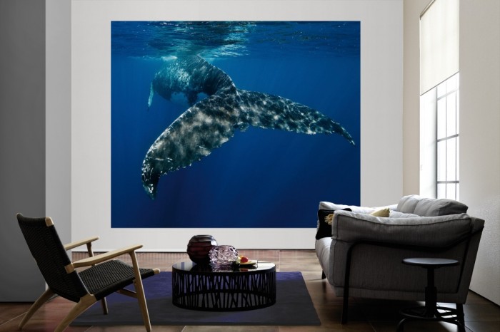 Die Fototapete Wal im Ozean als große Bildtapete im Wohnzimmer. Als Bildtapete ist die Fototapete Wal im Ozean ein besonderes Highlight auf Vliestapete.